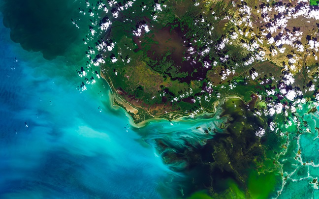 Aerial view of water against a shoreline with greenery 