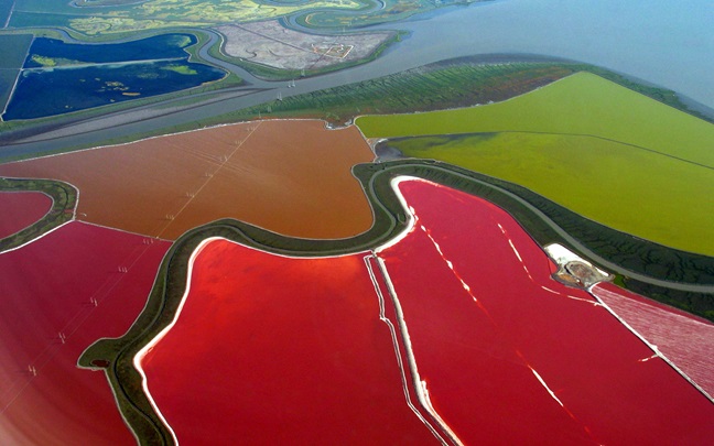 Aerial view of multi-coloured fields