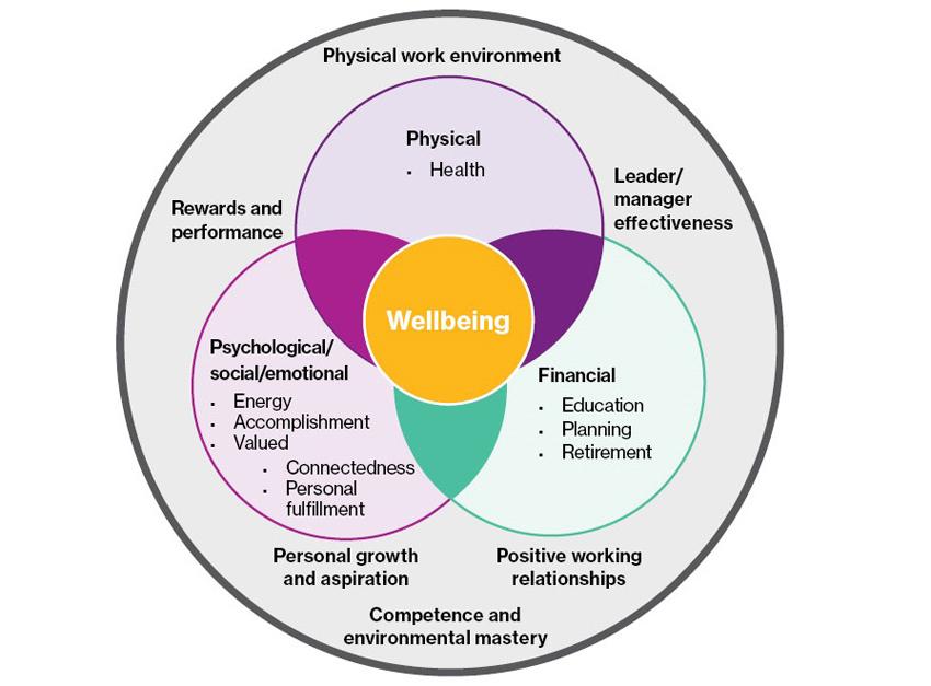 Wellbeing pie chart