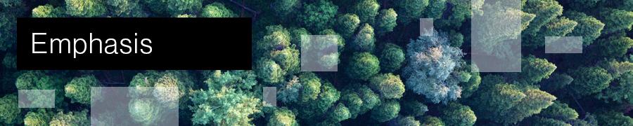Aerial view of evergreen trees with Emphasis title text