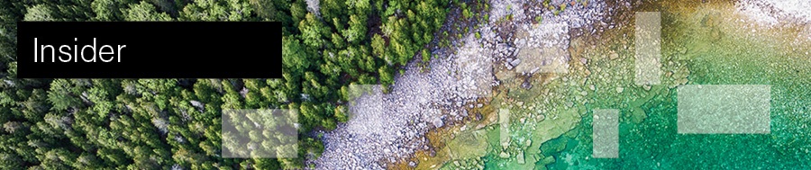 Insider banner: Aerial view of a forest meeting water's edge