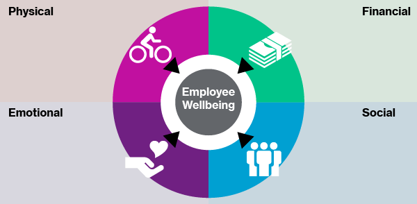 Wellbeing dashboard