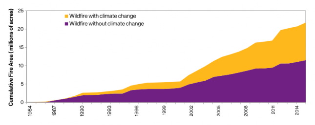 Line graph showing wildfires increasing between 1984 and 2014. Wildfire with climate change increases more than without climate change.