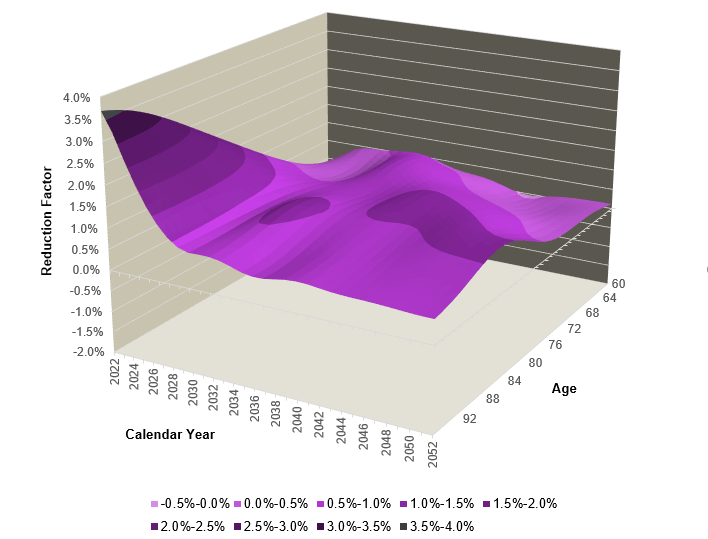 Figure 2: Example of mortality improvements surface
