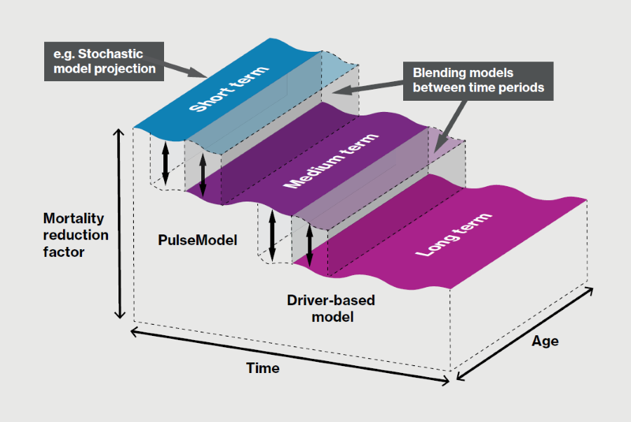 A diagram showing a stylised view of how each time period might contribute to the evolution of the mortality reduction factors over time