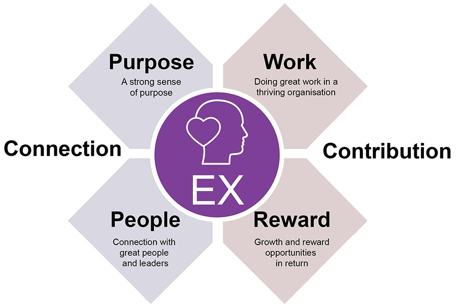 The fundamental elements of employee experience are purpose, work, total rewards and people.