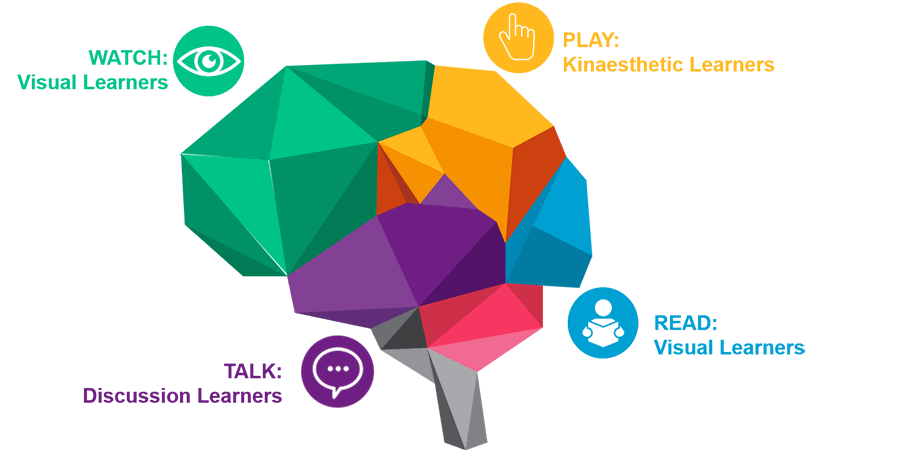 Graphic showing a human brain which demonstrates how people will engage with content will depend on their learning styles.