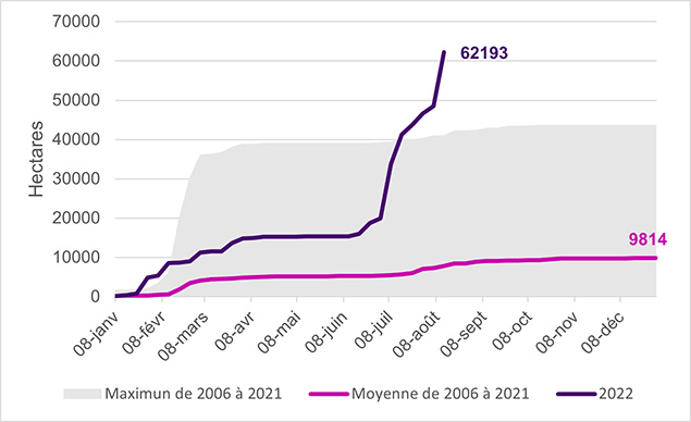 Graphique de données représentant le nombre d'hectares brulés en France de 2006 à 2021 (maximun et la moyenne)