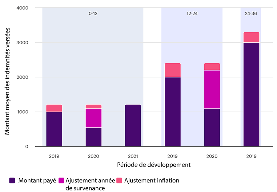 Montant payé, Ajustement année de survenance, Ajustement Inflation