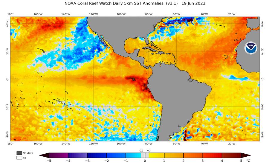 Image of long term average sea temperature on 15 June 2023 from US NOAA Coral Reef Watch