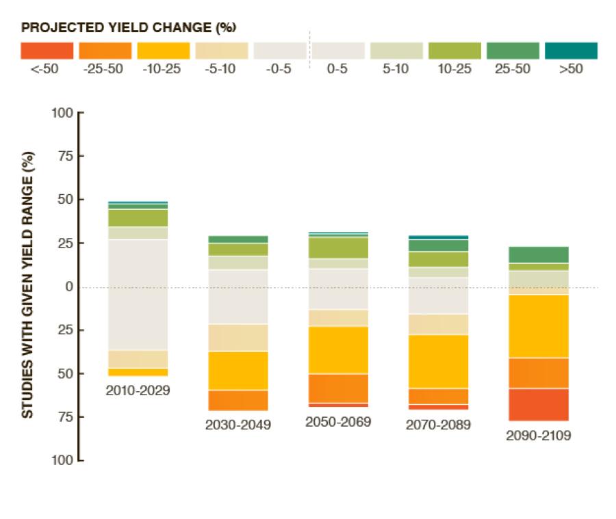 Climate change to contribute a negative impact on crop yields from the 2030s onwards