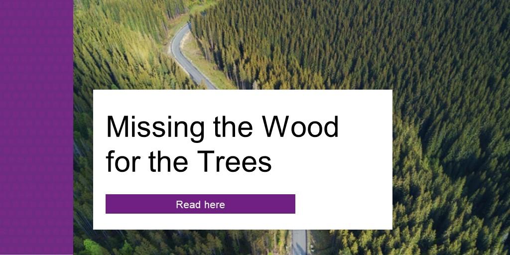 missing-the-wood-for-the-trees-wtw