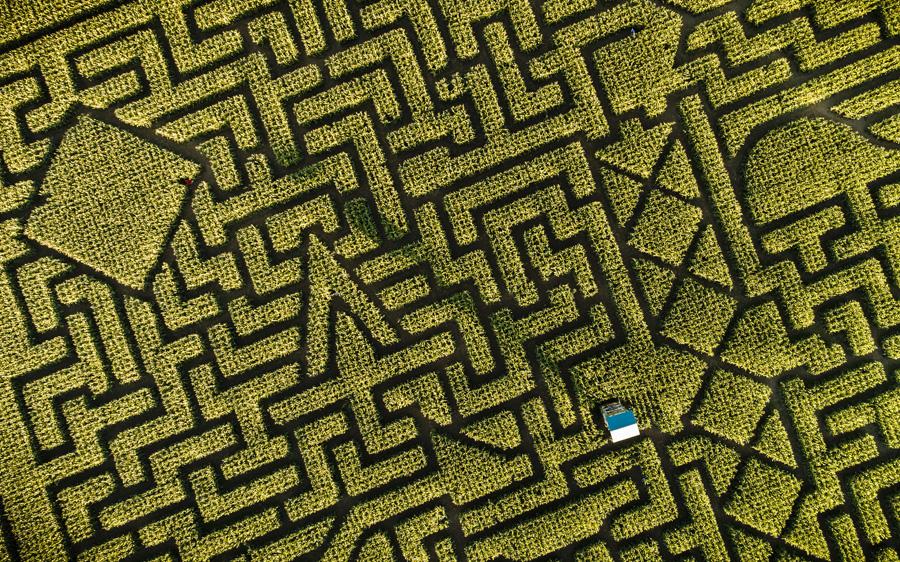 Aerial view of farm crop maze