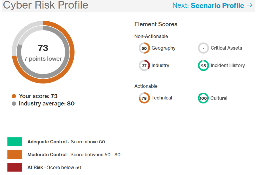 Illustration of a cyber risk profile summary