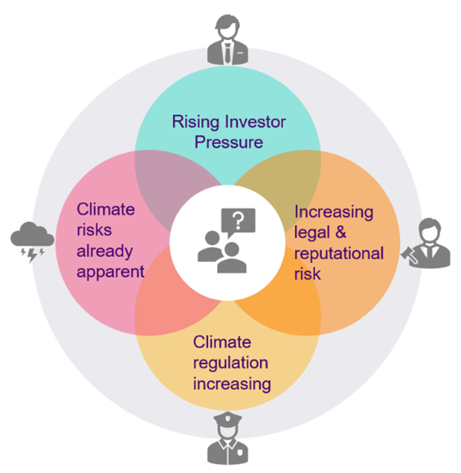 A circular diagram showing the four overlapping drivers for business action on climate risk: Clockwise from the top the drivers are: - Description below: