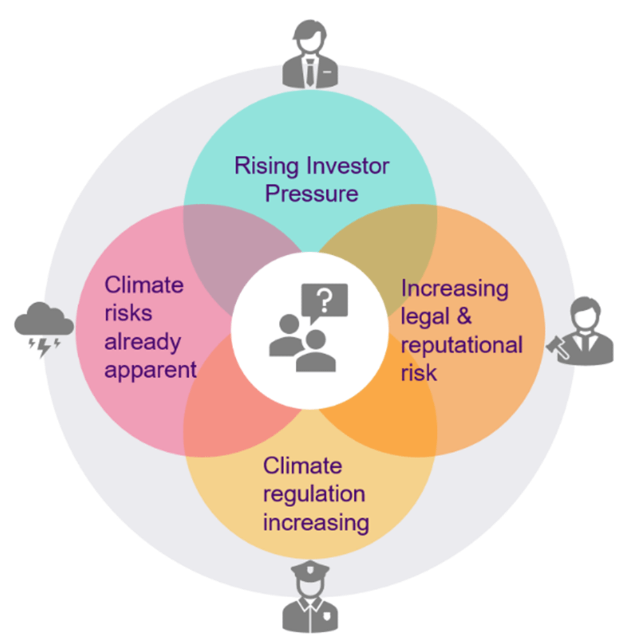 A circular diagram showing the four overlapping drivers for business action on climate risk: Clockwise from the top the drivers are: - Description below: