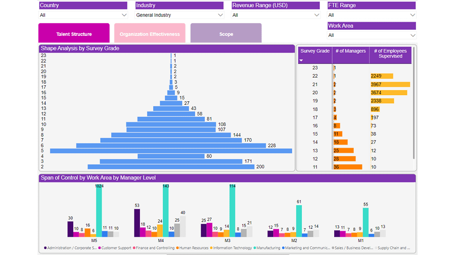 This is a screenshot of talent structure analytics from the Workforce Analytics HR Dashboard. 