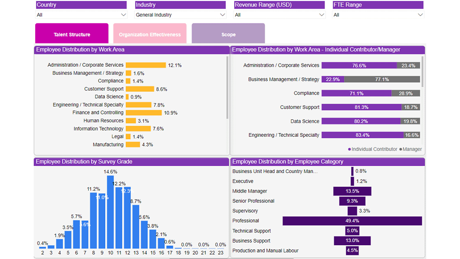 This is a screenshot of talent structure analytics from the Workforce Analytics HR Dashboard. 