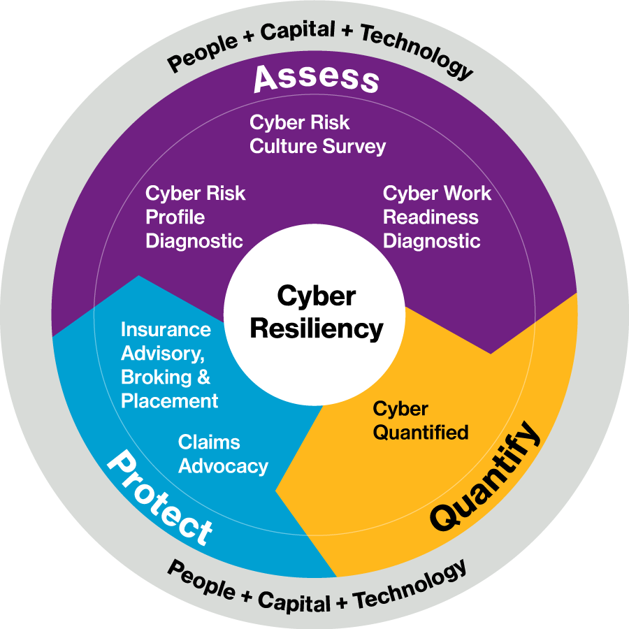 Cyber Risk Management: Assess, Protect, Quantify