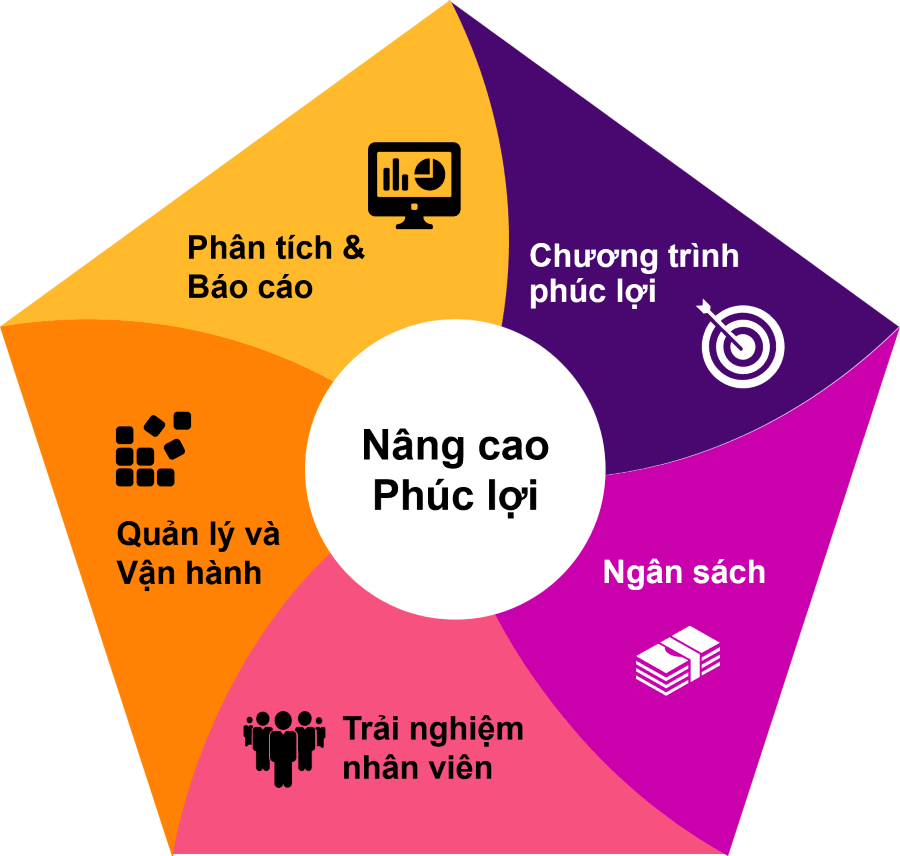 Phân tích chính sách phúc lợi, nhận xét và báo cáo
