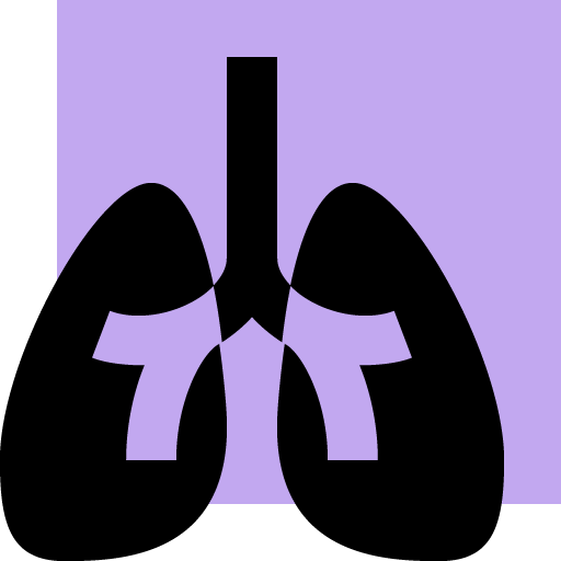 lungs icon